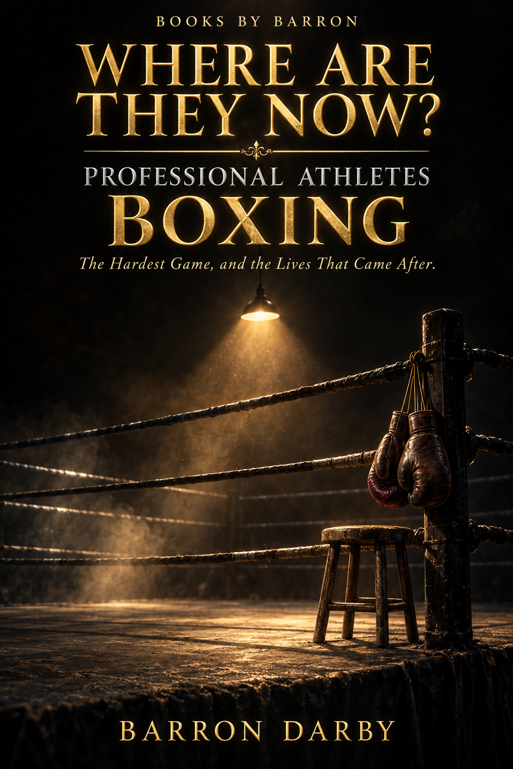Where Are They Now? Professional Athletes: Boxing